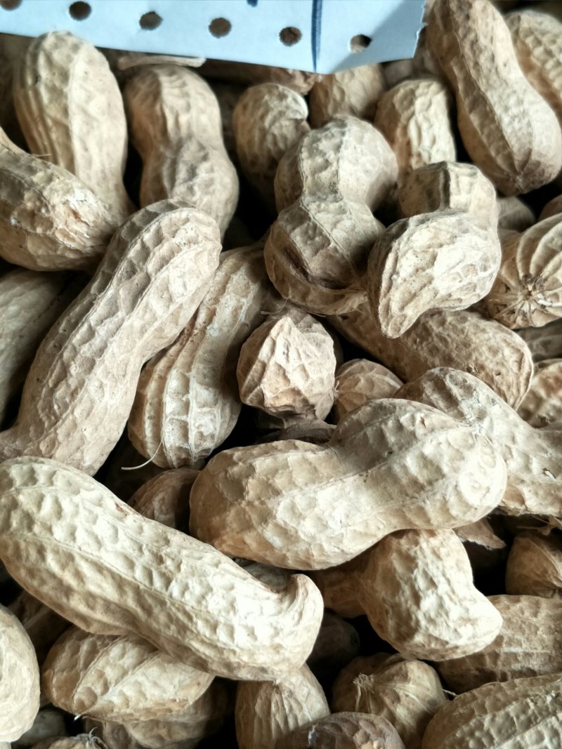 花生果手剥花生米子芽双仁果