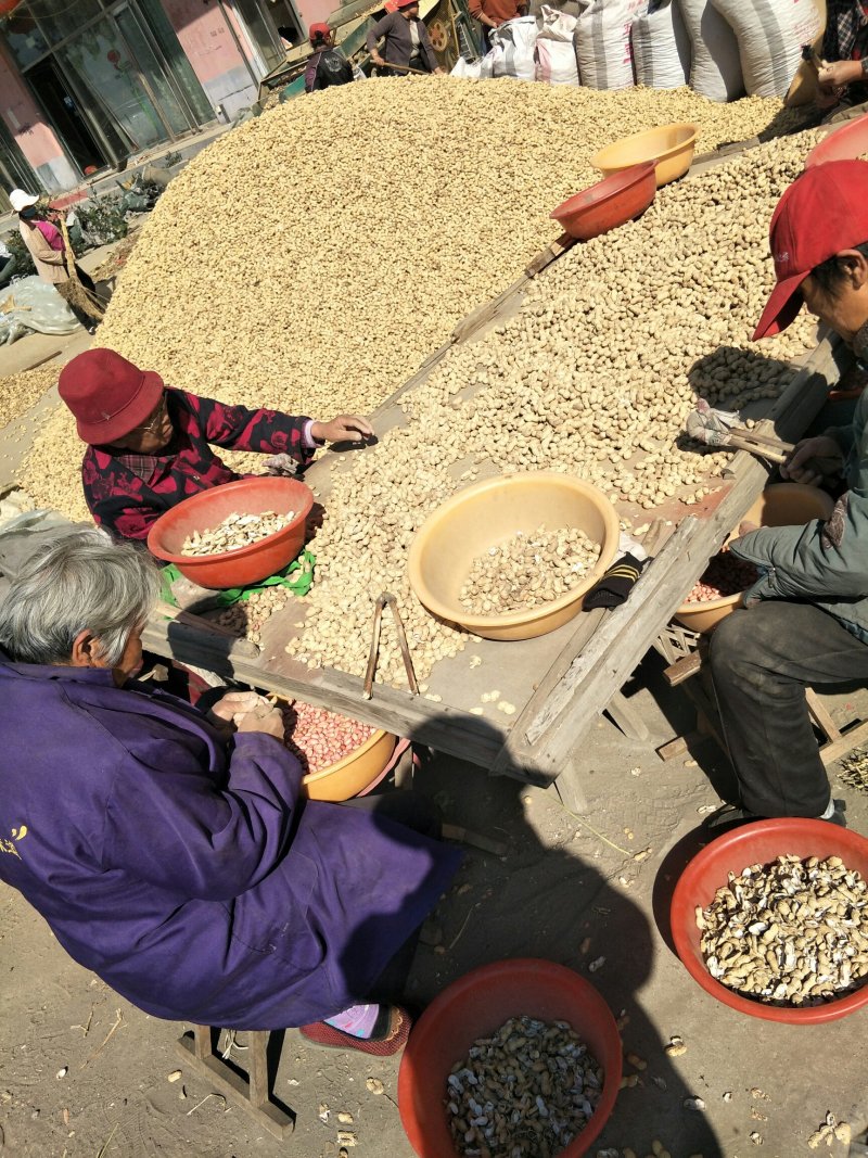 花生果手剥花生米子芽双仁果