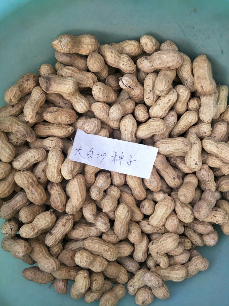 花生果手剥花生米子芽双仁果