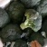 质量一流