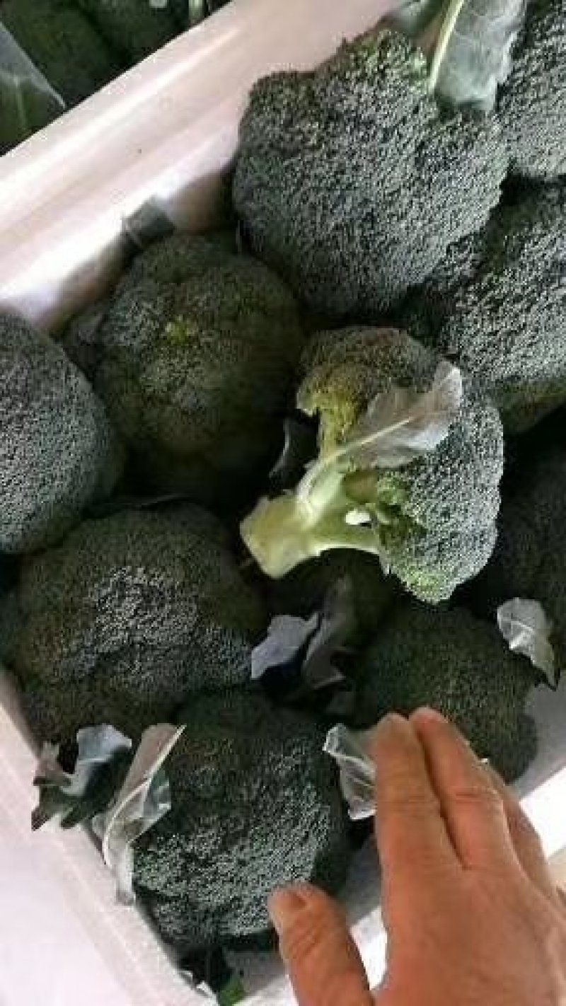 质量一流