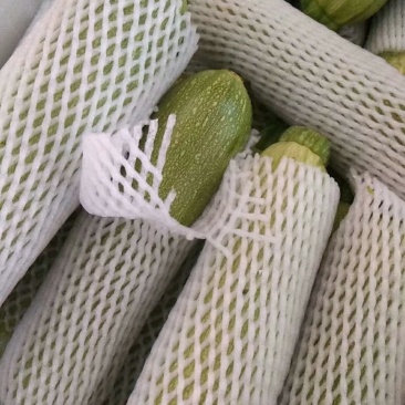 质量一流