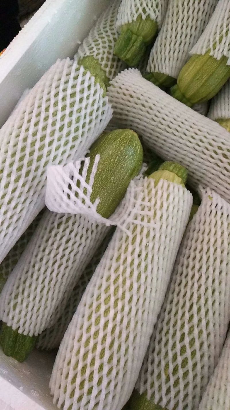 质量一流