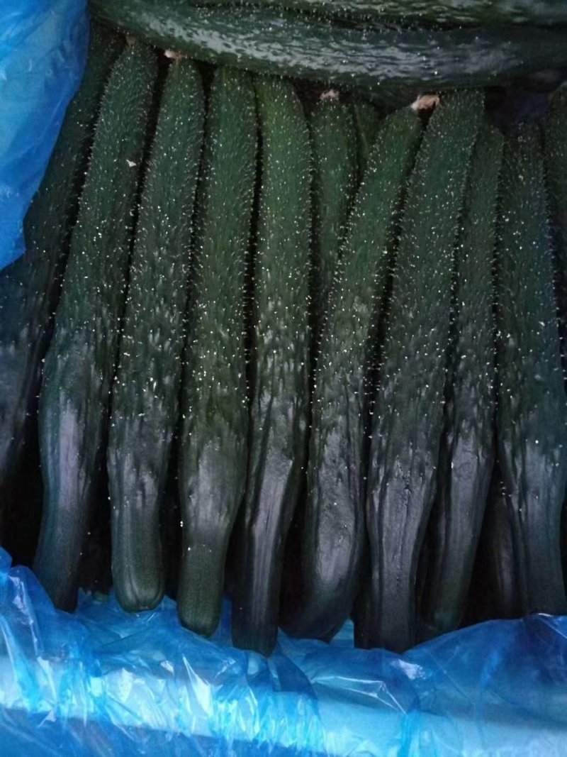 质量一流