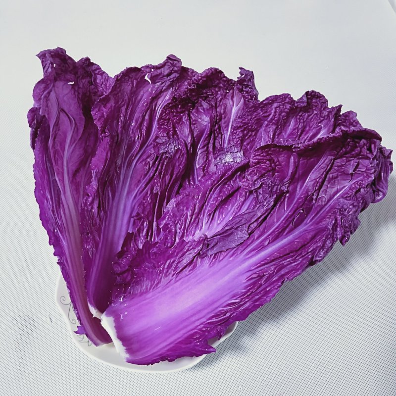 精品紫白菜，紫罗兰大白菜，精品！批发，电商代发！