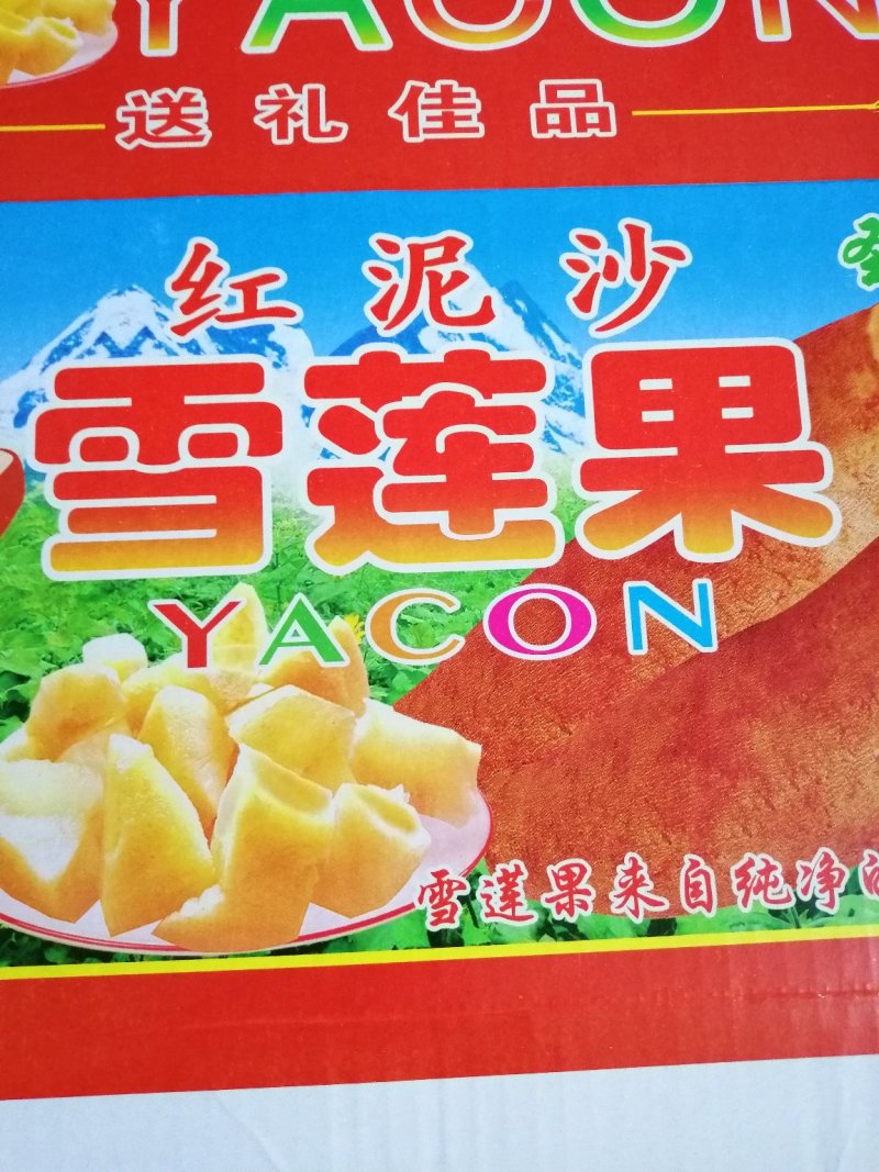 雪莲果新果上市了一件代市场精品货全年供应