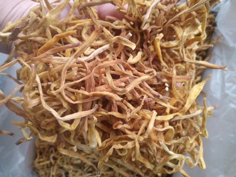 黄花菜产地直销，可看视频！