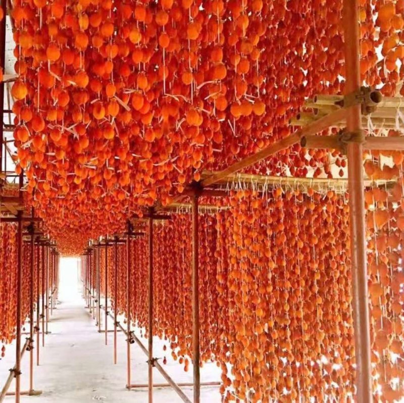 恭城柿饼，吊饼，批发，支持一件代发