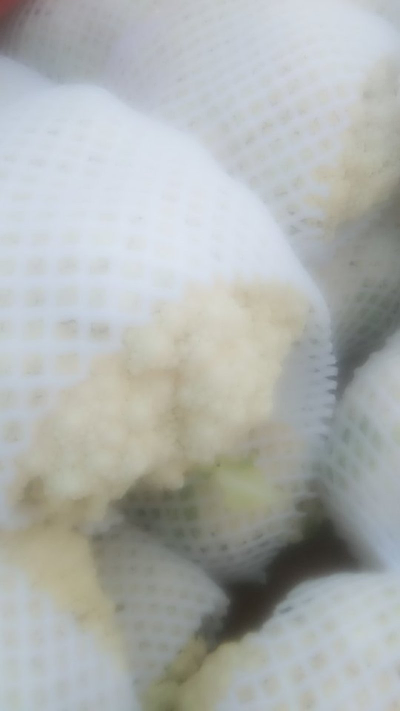 菜花
