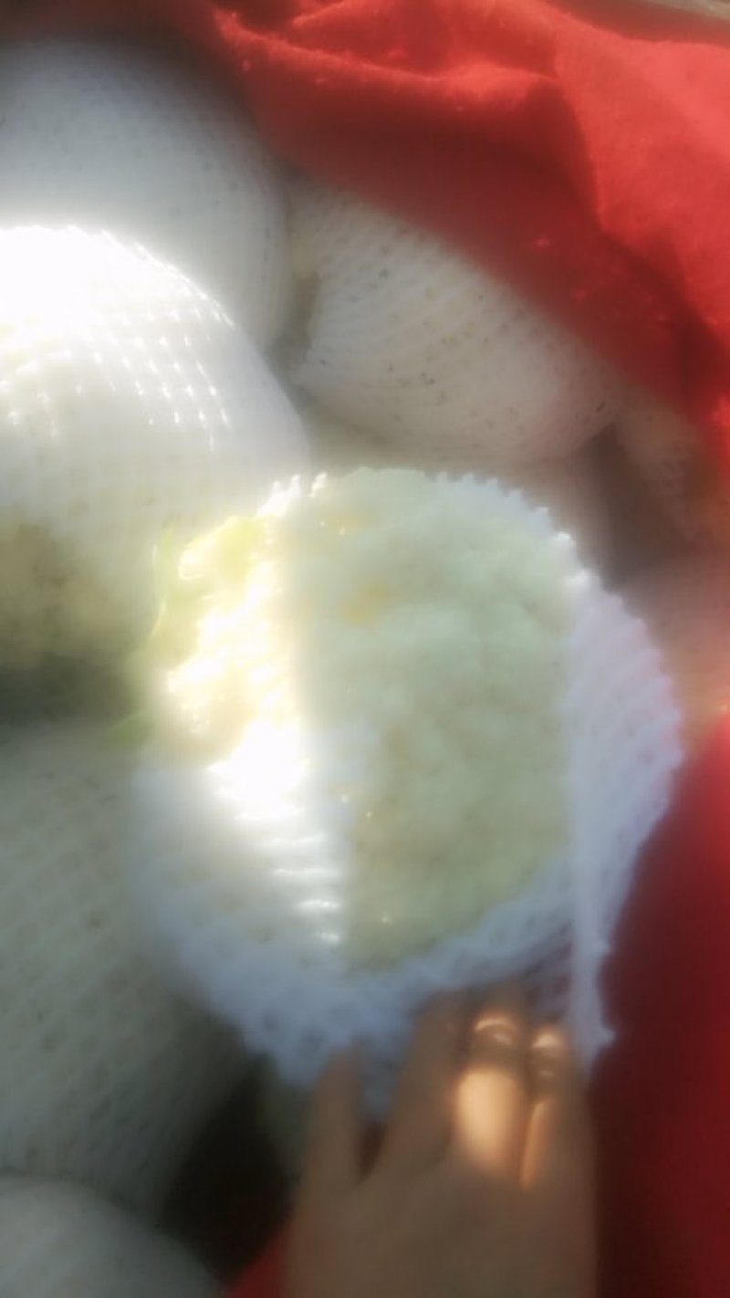 菜花