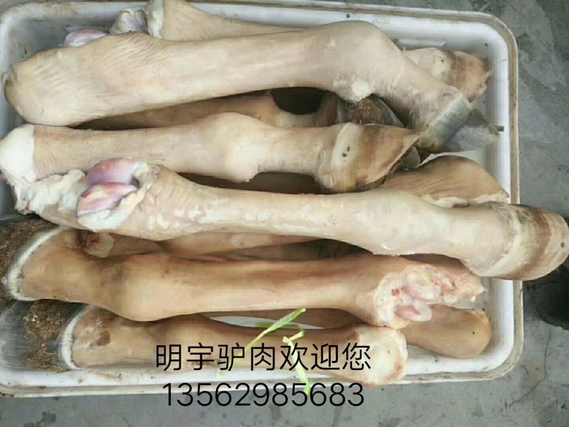 驴肉