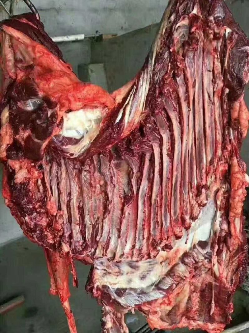 驴肉