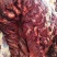 驴肉