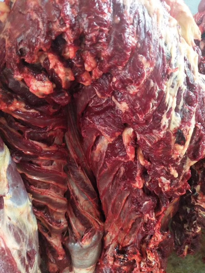 驴肉