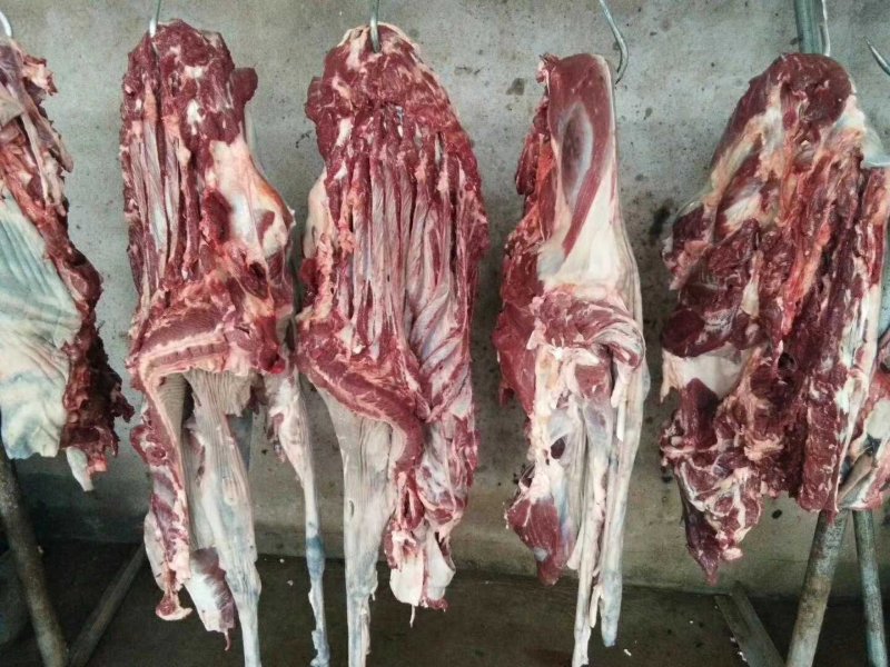 驴肉