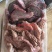 驴肉