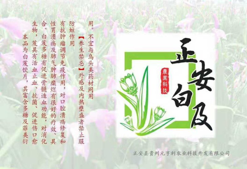 白芨