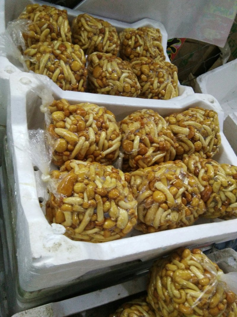 滑子蘑