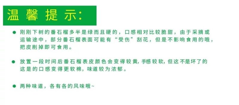 红宝石番石榴红心芭乐5斤送酸梅粉【承接代发】