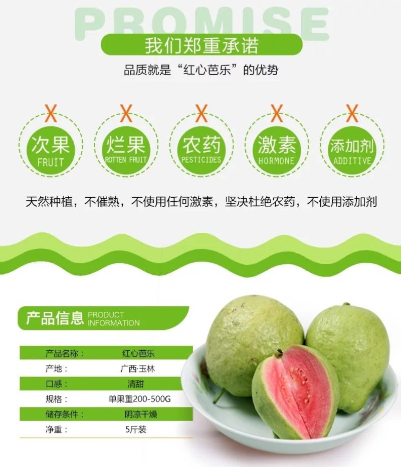 红宝石番石榴红心芭乐5斤送酸梅粉【承接代发】