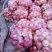 代卖，代发，红富士苹果，八零果起步，袋装，框装，欢迎咨询