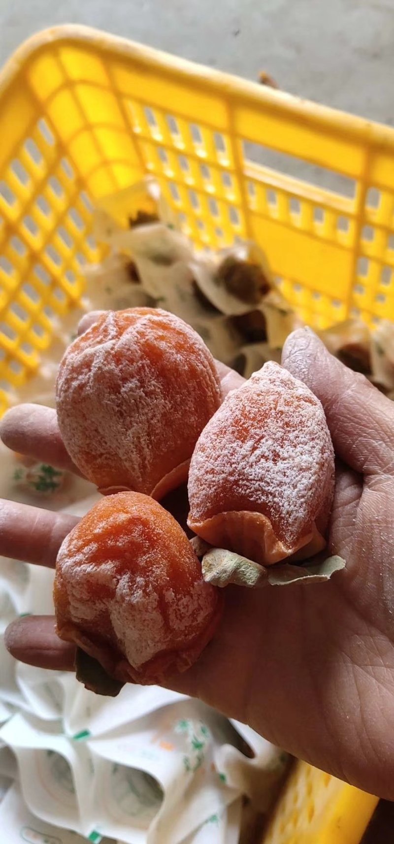 正宗富平柿饼