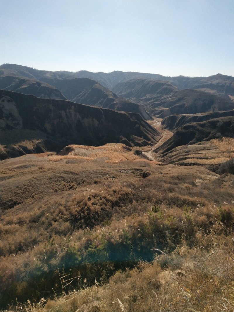 荒山