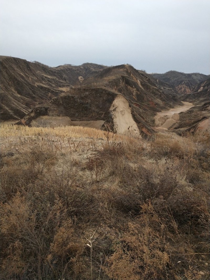 荒山