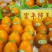 柿饼