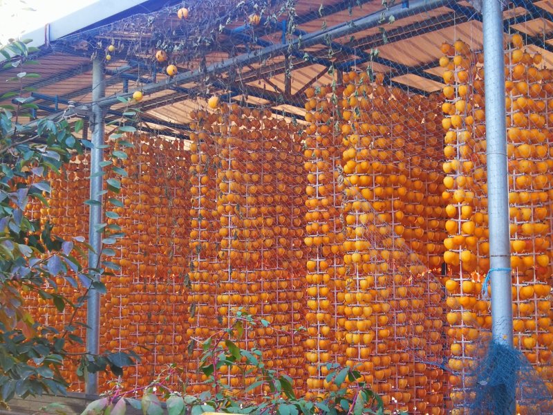 柿饼