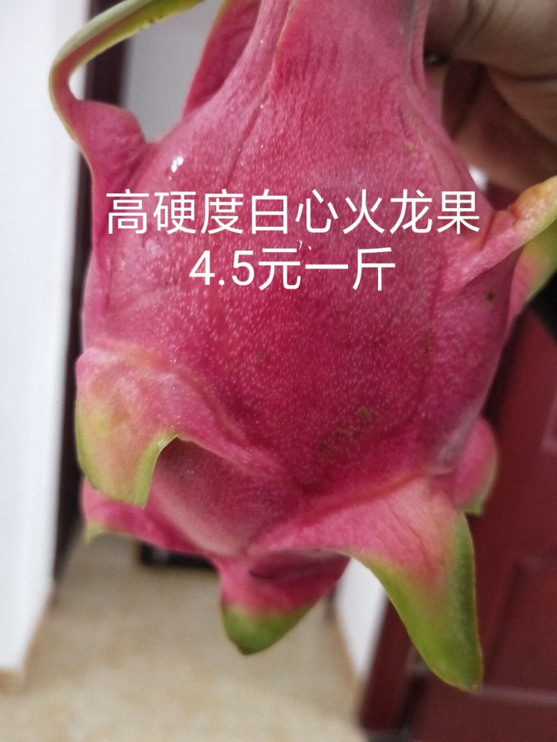 水果