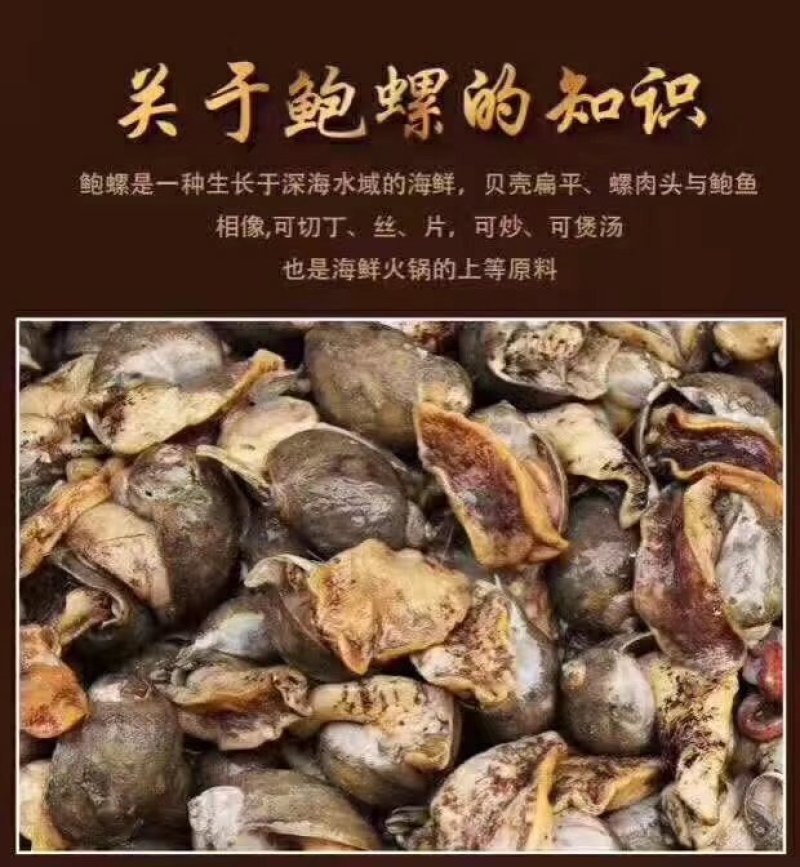 假鲍鱼