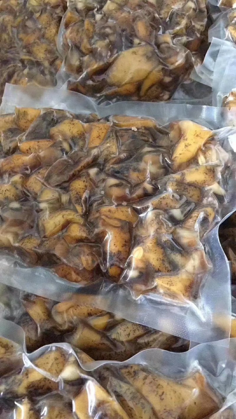 假鲍鱼