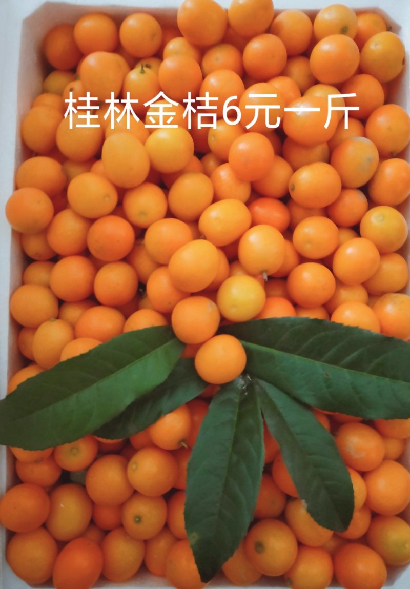 水果