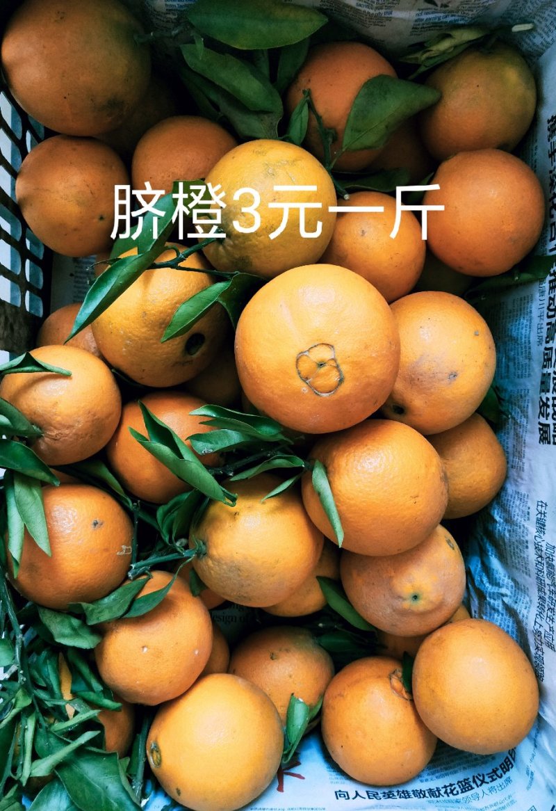 水果