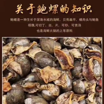 假鲍鱼