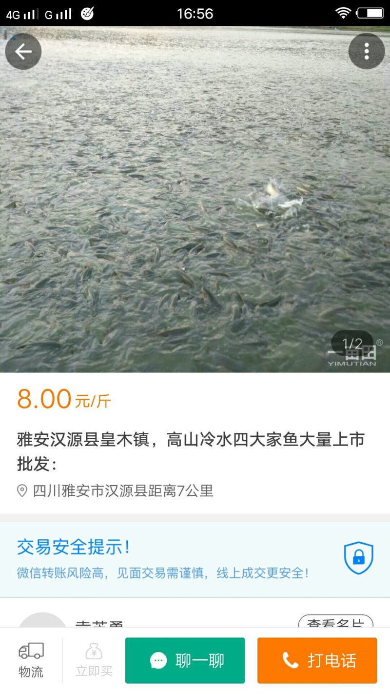 高山冷水鱼