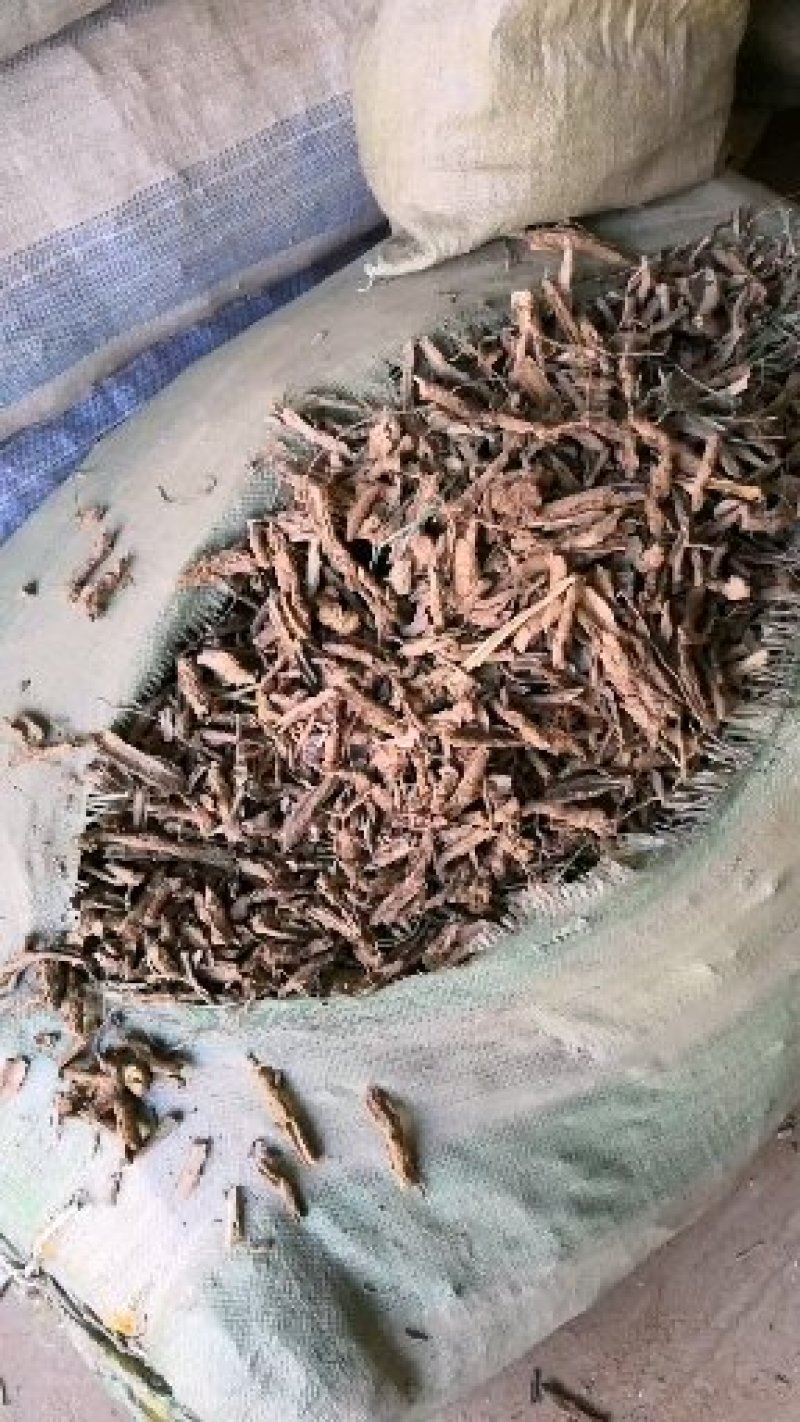 地骨皮供应地骨皮地骨皮地骨皮地骨皮地骨皮