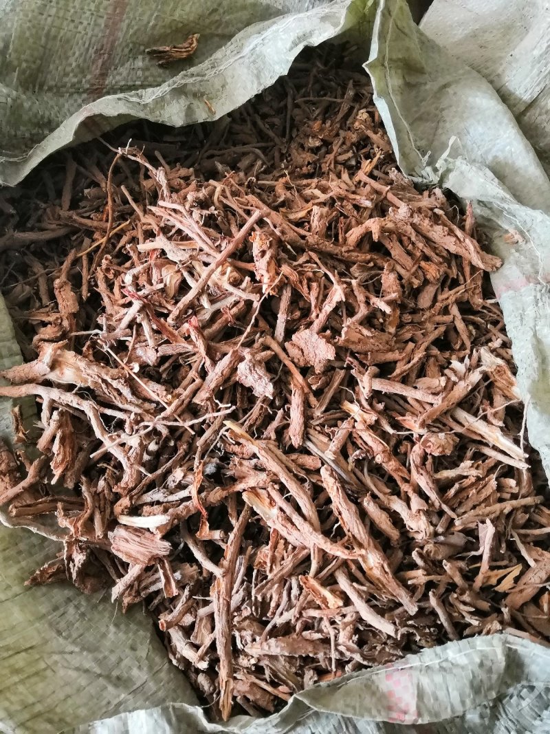 地骨皮供应地骨皮地骨皮地骨皮地骨皮地骨皮
