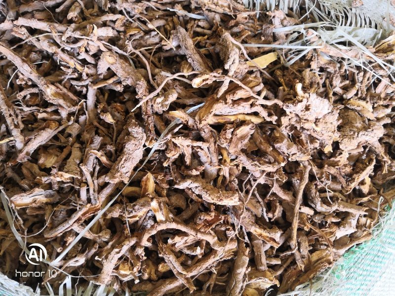 地骨皮供应地骨皮地骨皮地骨皮地骨皮地骨皮