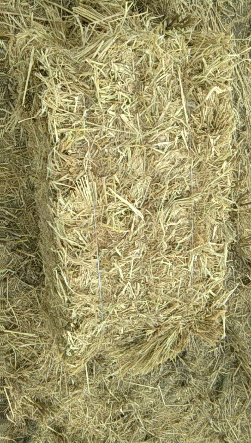 稻草秸秆