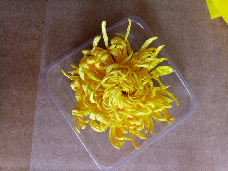 金丝皇菊茶