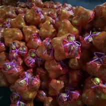 红心柚丶霞浦本地柚、一手货源、地头现采