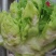 上等儿菜：一斤到四斤的大儿菜