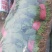 菠菜
