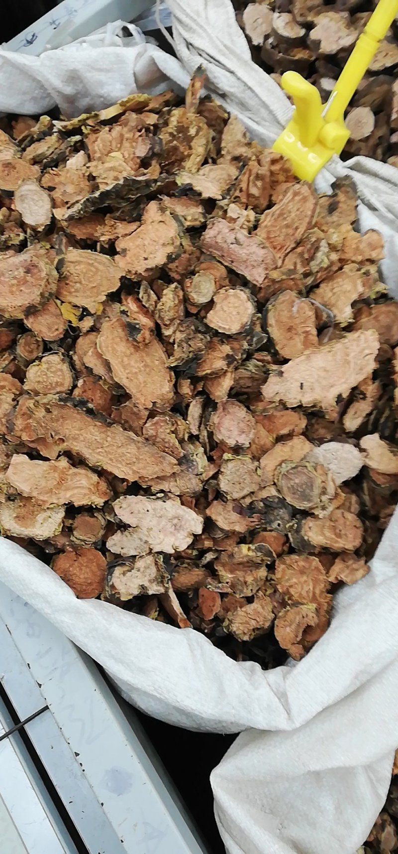 红景天