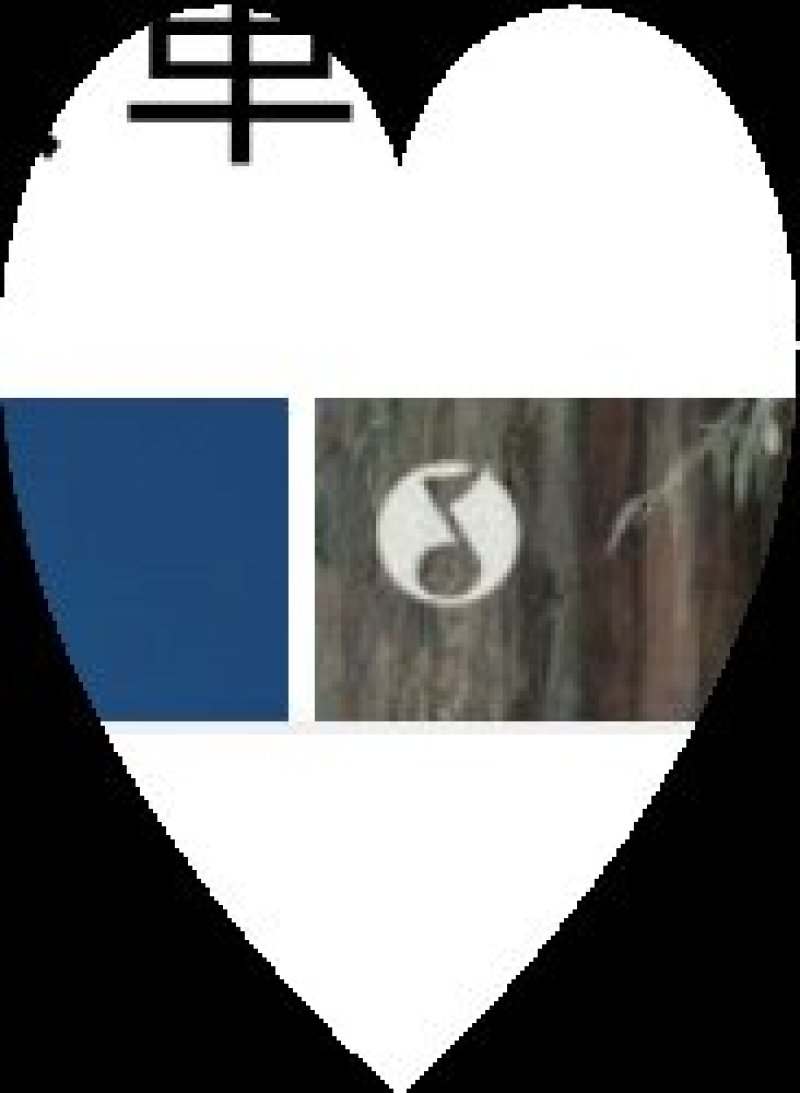 兰花