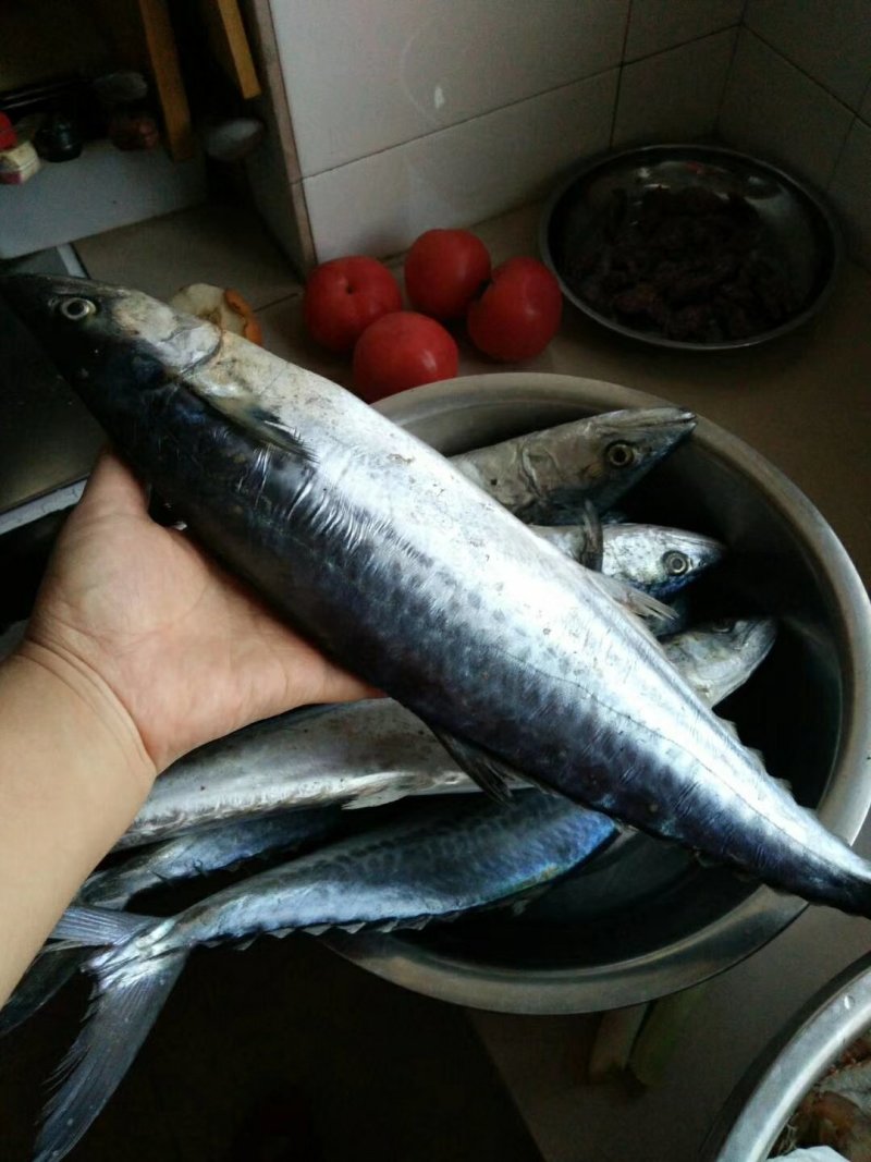 咸鱼