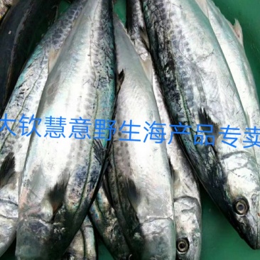 咸鱼