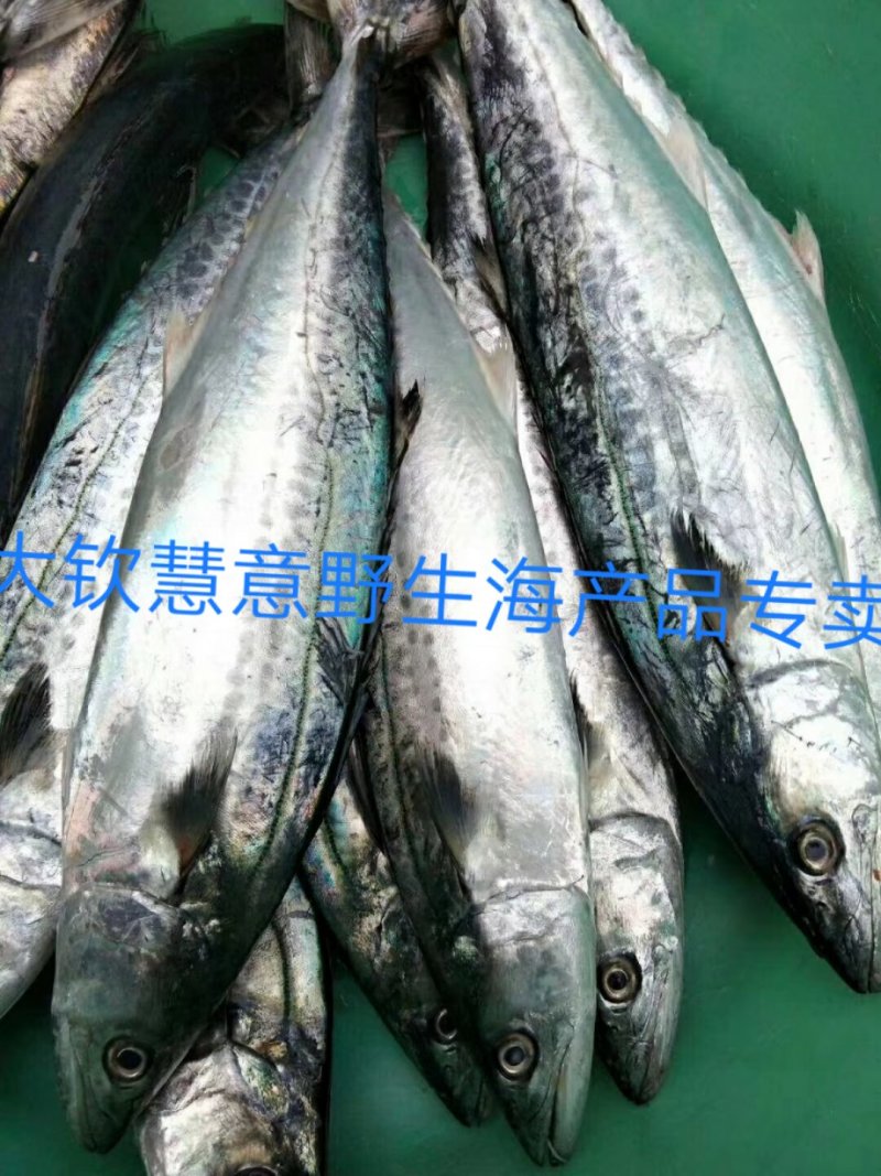 咸鱼